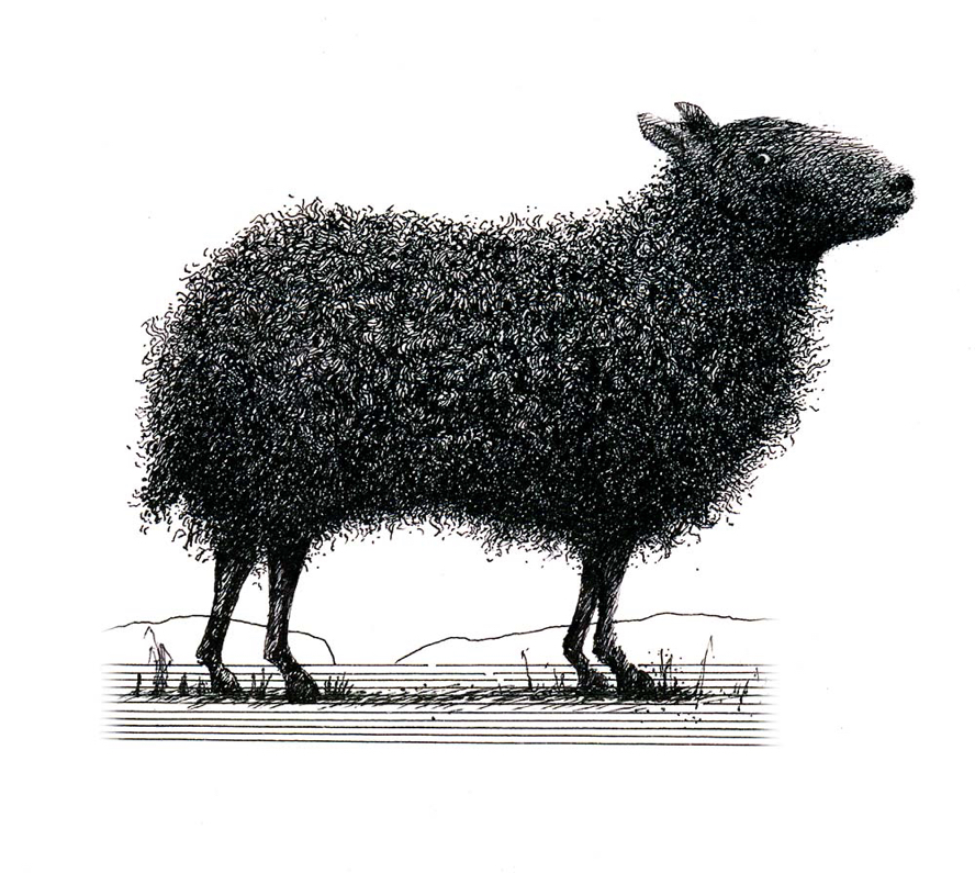 Black Sheep (with attitude)... commissioned by Sir John Hegarty - image for the wine label for his vineyard.  